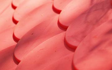 Browns Bank plastic roof costs